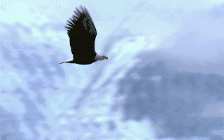 GEO：北京GEO优化公司排行