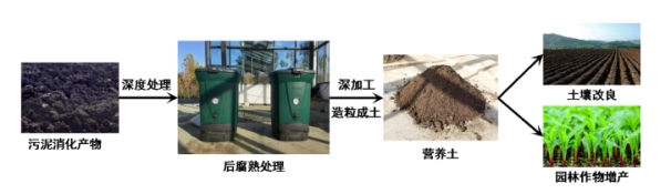 中国三峡集团：六安苏大堰湿地“污泥变花海”科技示范